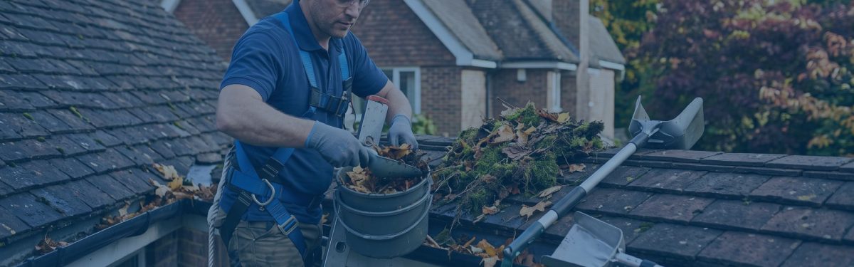 professional-gutter-clean-1200x375.jpg